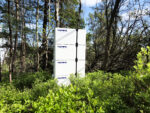 Solid State batteri i skogen